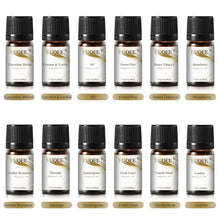 Load image into Gallery viewer, Aroma Journey Fragrance Oils Set – Taking You on a Fragrance Journey
