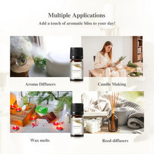 Load image into Gallery viewer, Aroma Journey Fragrance Oils Set – Taking You on a Fragrance Journey
