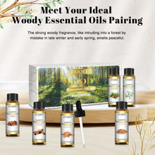 Load image into Gallery viewer, Woody Series Gift Set Essential Oil 100% Pure Plant Extract – Premium Grade
