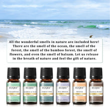 Load image into Gallery viewer, Nature Air Fragrance Oils Set - Pure Natural Bliss for Your Space
