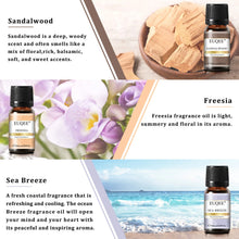 Load image into Gallery viewer, Nature Air Fragrance Oils Set - Pure Natural Bliss for Your Space
