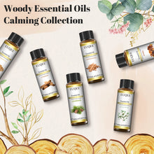 Load image into Gallery viewer, Woody Series Gift Set Essential Oil 100% Pure Plant Extract – Premium Grade
