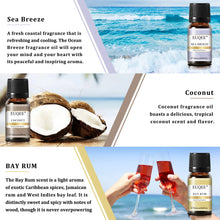 Load image into Gallery viewer, Holiday Island Fragrance Oils Gift Set - Tropical Aromatherapy Scents for the Perfect Holiday Vibe
