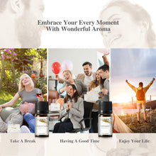 Load image into Gallery viewer, Aroma Journey Fragrance Oils Set – Taking You on a Fragrance Journey
