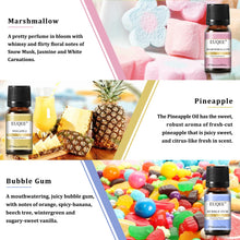 Load image into Gallery viewer, Holiday Island Fragrance Oils Gift Set - Tropical Aromatherapy Scents for the Perfect Holiday Vibe
