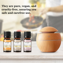 Load image into Gallery viewer, Spice Fragrance Essential Oil Gift Set – Aromatherapy for Cozy Vibes
