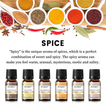 Load image into Gallery viewer, Spice Fragrance Essential Oil Gift Set – Aromatherapy for Cozy Vibes
